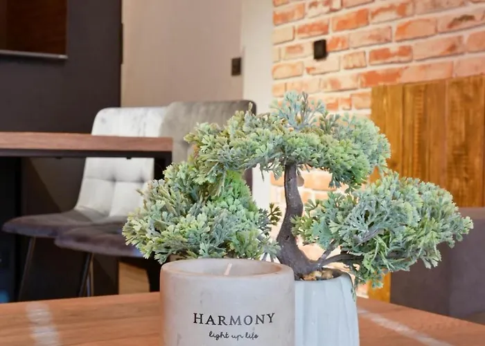 Mamma Mia - Lejlighed 4*